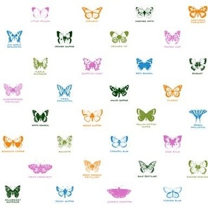 butterfly alphabet - butterfly contest palette