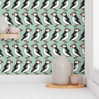 puffins // mint blue birds cute scotland winter birds