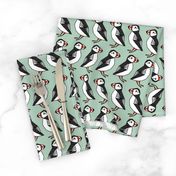 puffins // mint blue birds cute scotland winter birds