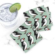 puffins // mint blue birds cute scotland winter birds