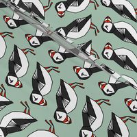 puffins // mint blue birds cute scotland winter birds