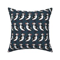 puffins // dark navy blue puffins birds bird 