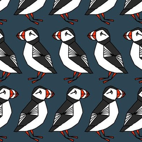 puffins // dark navy blue puffins birds bird 