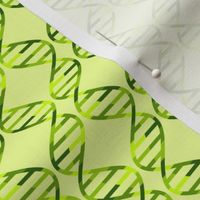 02292283 : DNA argyle : verdant