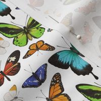 Rainbow Butterflies - medium scale