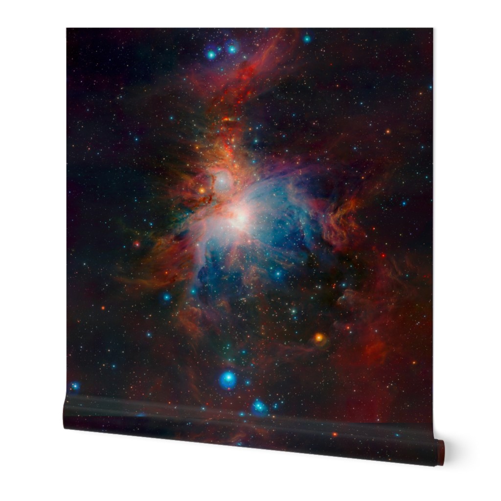 Orion Nebula 2 yards