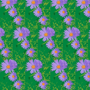 Asters poster-painted