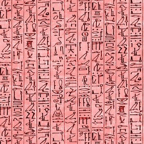 Hieroglyphics Papyrus in Coral