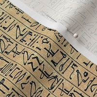 Hieroglyphics Papyrus in Linen