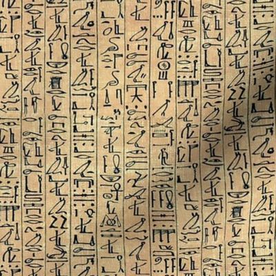 Hieroglyphics Papyrus in Linen