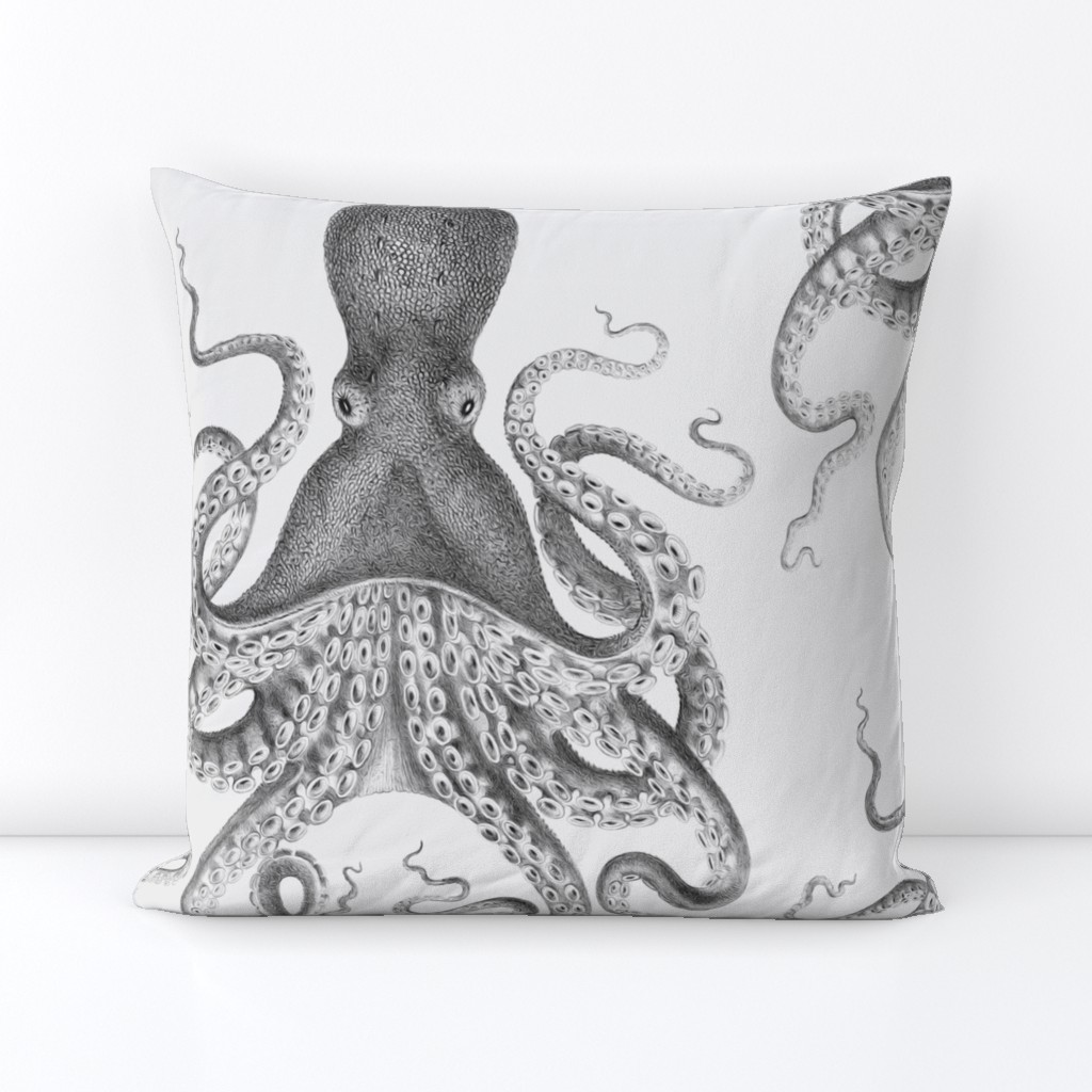 Octopus Oasis in Charcoal 