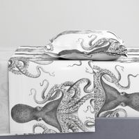 Octopus Oasis in Charcoal 