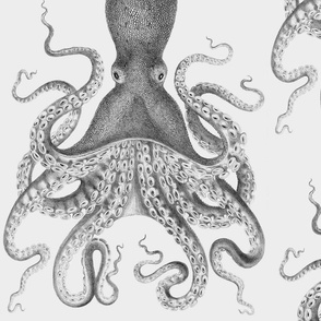 Octopus Oasis in Charcoal 