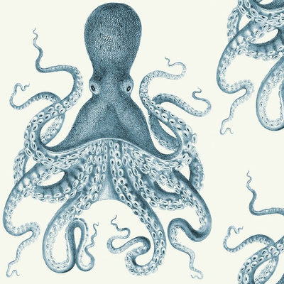 real octopus wallpaper