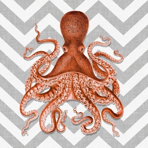 Coral Octopus Chevron