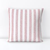 ammonite stripes - strawberry on white