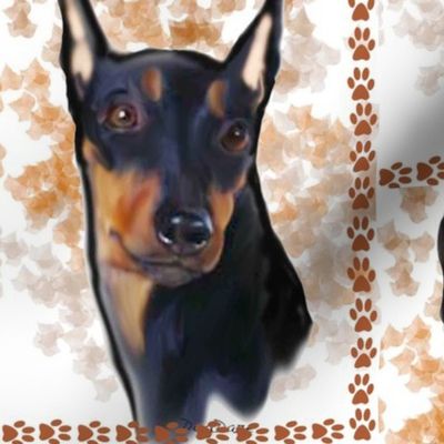 german_pinscher_portrait