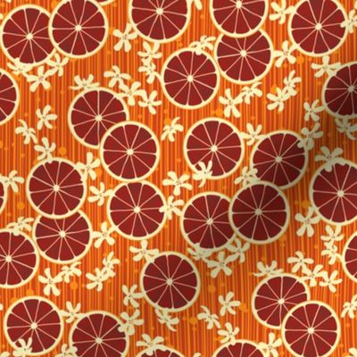 Blood Orange Allegria - small