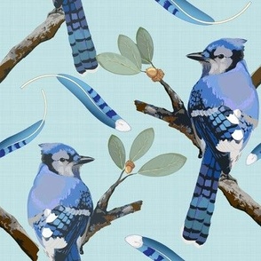 Blue Jays on Aqua