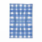 c'est la viv_sky gingham-ed