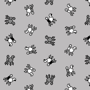 scattered_poodles_on_gray
