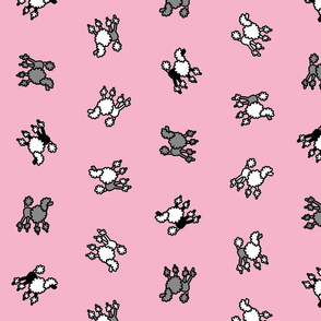 scattered_poodles_on_pink
