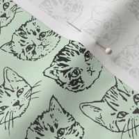 Cute Cats | Mint