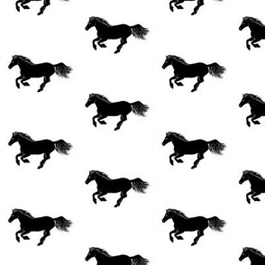 Black Pony on White, Basic