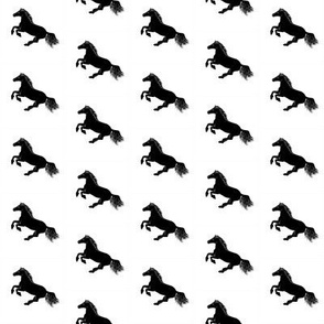 Black Pony on White, Diagonal mini 