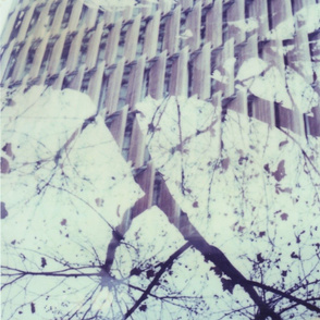 Polaroid Double Exposure