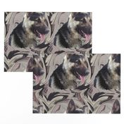 German Shepherd swirl Portrait