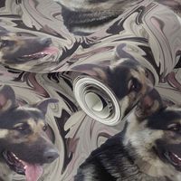 German Shepherd swirl Portrait