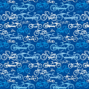 Beach Bikes in Blue