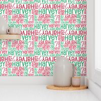 Personalised Name Fabric - Christmas Canes