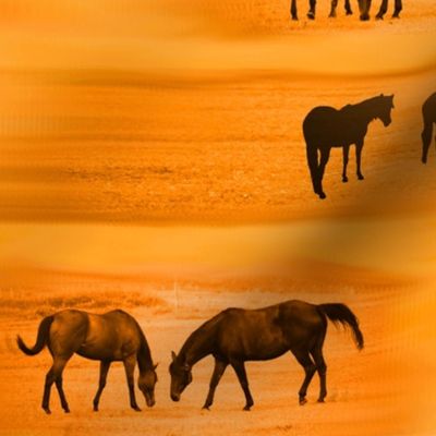 Western Horses