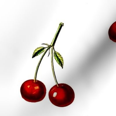 Cherries - Botanical Print