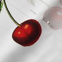 Cherries - Botanical Print