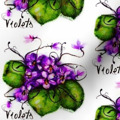 VIOLETS