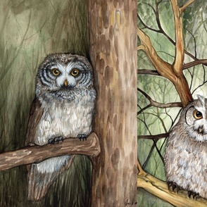 Forest owls