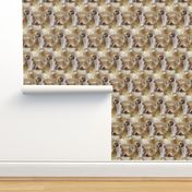 Saint Bernard puppy floral