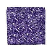 White patterned stars on purple background