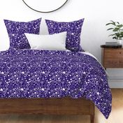 White patterned stars on purple background