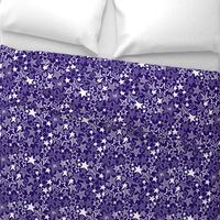 White patterned stars on purple background