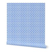 chambray dots