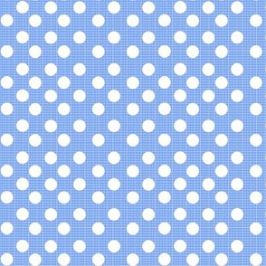 chambray dots