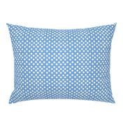 chambray dots-denim