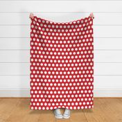 Polka Dot - White on Red XL