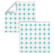 Polka Dot - White on Turquoise XXL