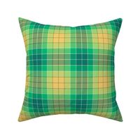 02346337 : tartan : synergy0004