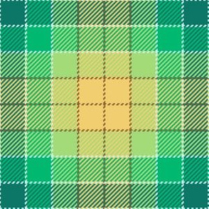 02346337 : tartan : synergy0004